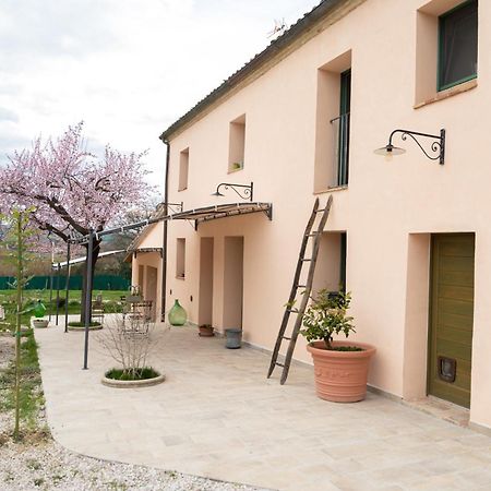 Casine  B&B Le Rondini Ostra Senigallia מראה חיצוני תמונה