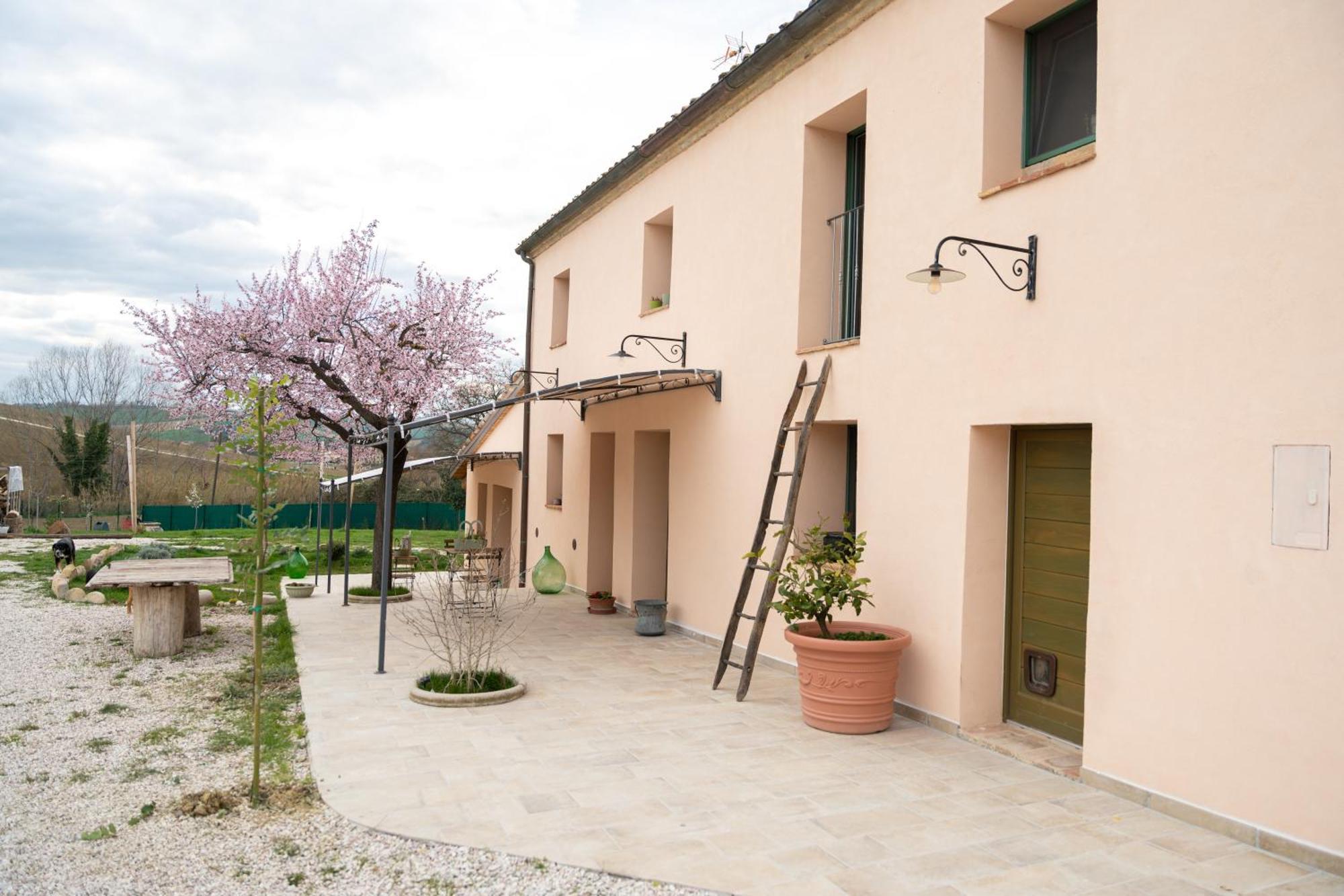 Casine  B&B Le Rondini Ostra Senigallia מראה חיצוני תמונה