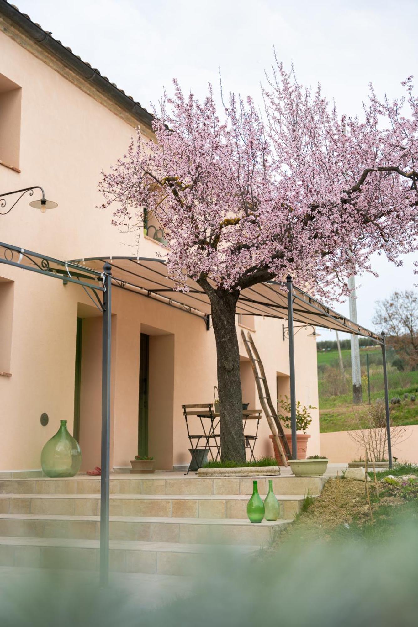 Casine  B&B Le Rondini Ostra Senigallia מראה חיצוני תמונה